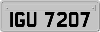 IGU7207