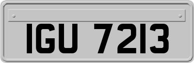 IGU7213