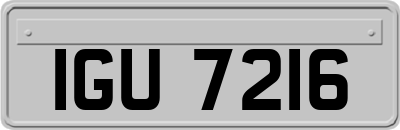 IGU7216