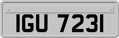 IGU7231