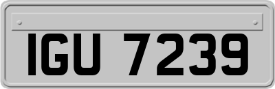 IGU7239