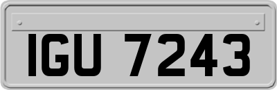 IGU7243