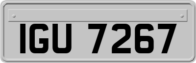 IGU7267