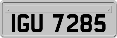 IGU7285