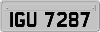 IGU7287