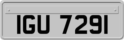 IGU7291
