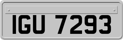 IGU7293
