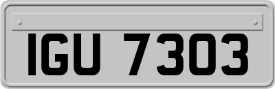 IGU7303