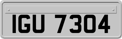 IGU7304