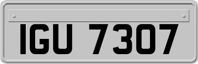 IGU7307