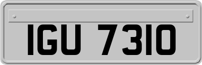 IGU7310