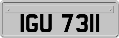 IGU7311