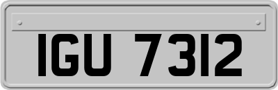 IGU7312