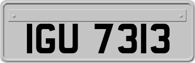 IGU7313