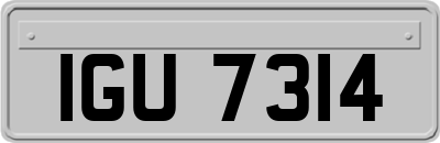IGU7314