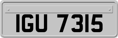 IGU7315
