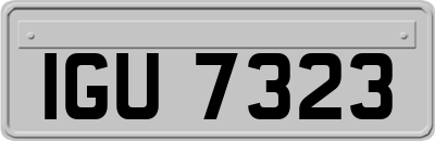 IGU7323