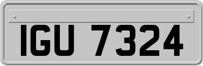 IGU7324