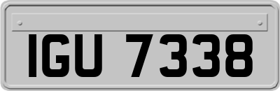 IGU7338