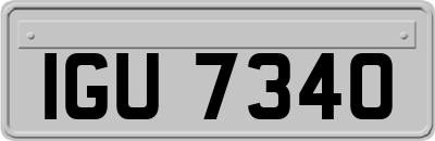 IGU7340