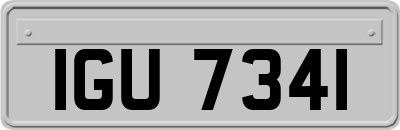 IGU7341