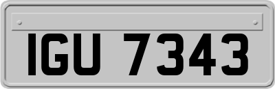 IGU7343