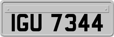 IGU7344