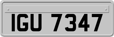 IGU7347