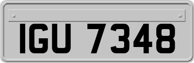 IGU7348