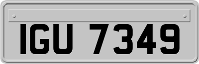 IGU7349
