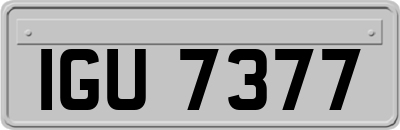 IGU7377