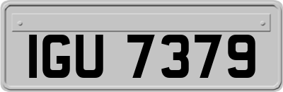 IGU7379