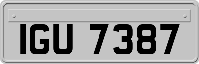IGU7387