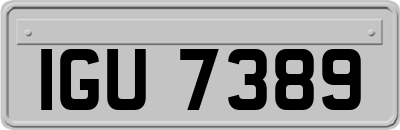 IGU7389