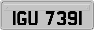 IGU7391