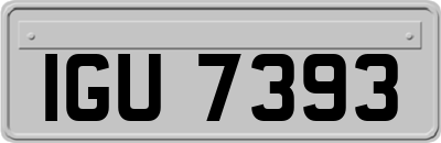 IGU7393