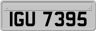 IGU7395