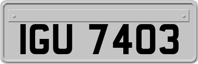 IGU7403