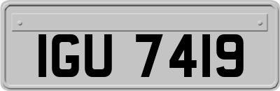 IGU7419