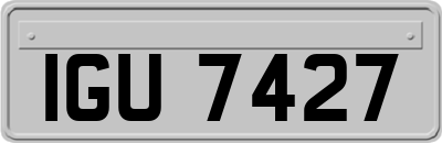 IGU7427
