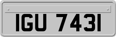 IGU7431