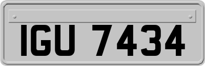 IGU7434