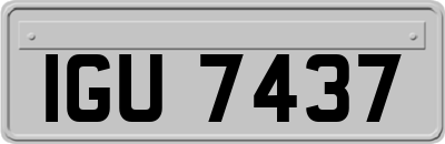 IGU7437
