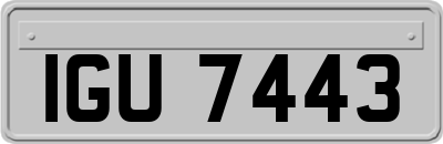 IGU7443