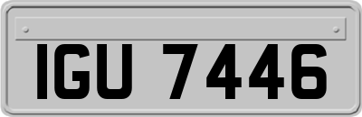 IGU7446