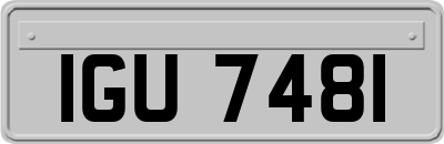 IGU7481
