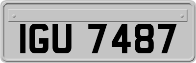 IGU7487