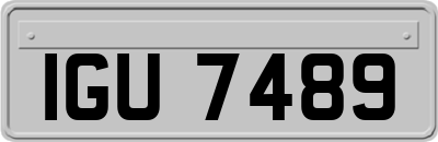 IGU7489