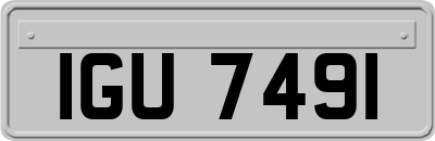 IGU7491