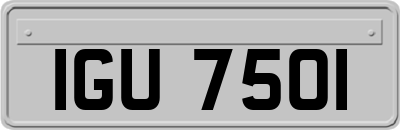 IGU7501